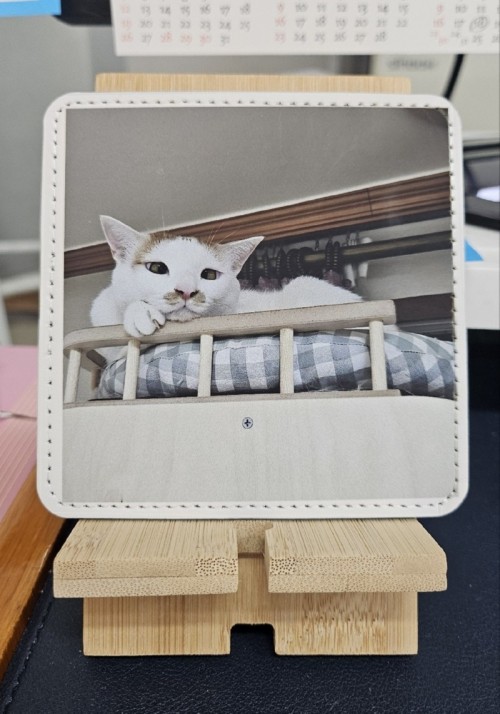 KakaoTalk_20250407_112226987_01.jpg