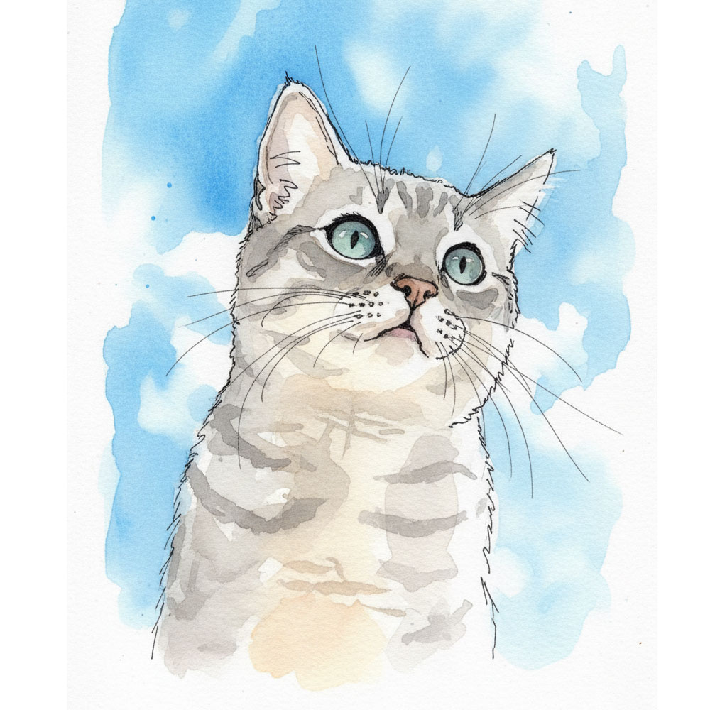 라인드로잉 일러스트 캐리커쳐 연필스케치 어반스케치 수묵화 유화 수채화 기념일 선물 청첩장 기본채색 컬러배경 그림 주문제작