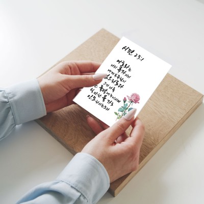 아트피아 캘리그라피 손글씨 그림엽서 배경엽서 취미 꽃 이미지 주문제작 가능